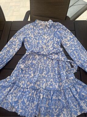 Ellen Tracy Blue and White Printed Tiered Long-Sleeve Dress
